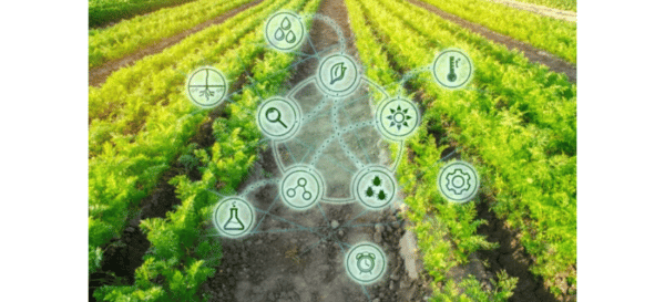 Atelier 2 – Enjeux environnementaux : Analyse de Cycle de Vie (ACV)
